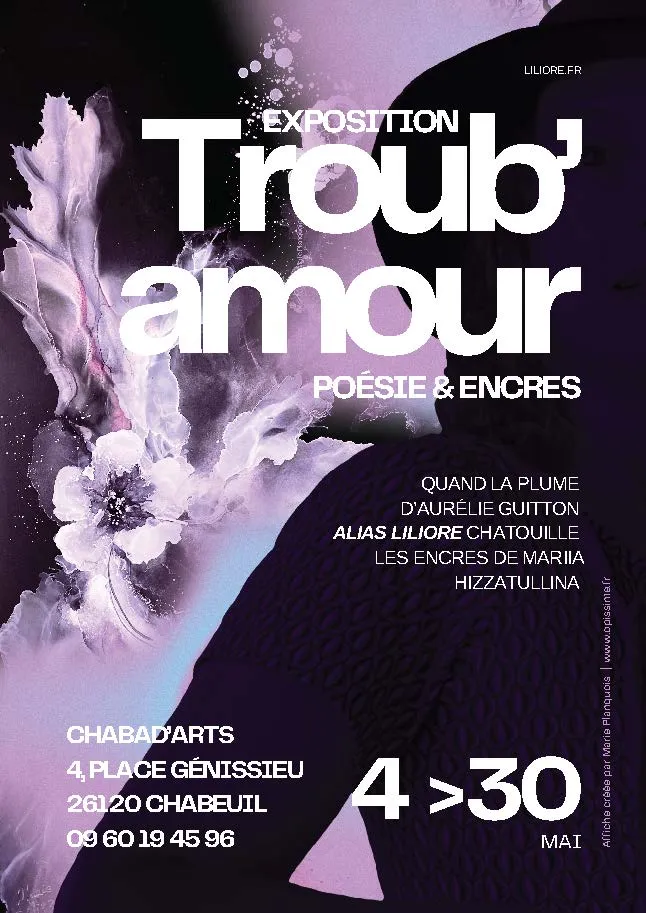 troub'amour affichea4 1