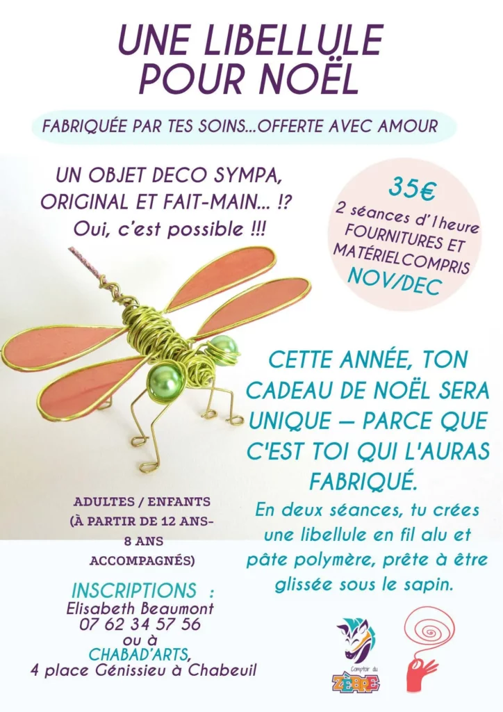 Atelier Libellule Comptoir du Zèbre